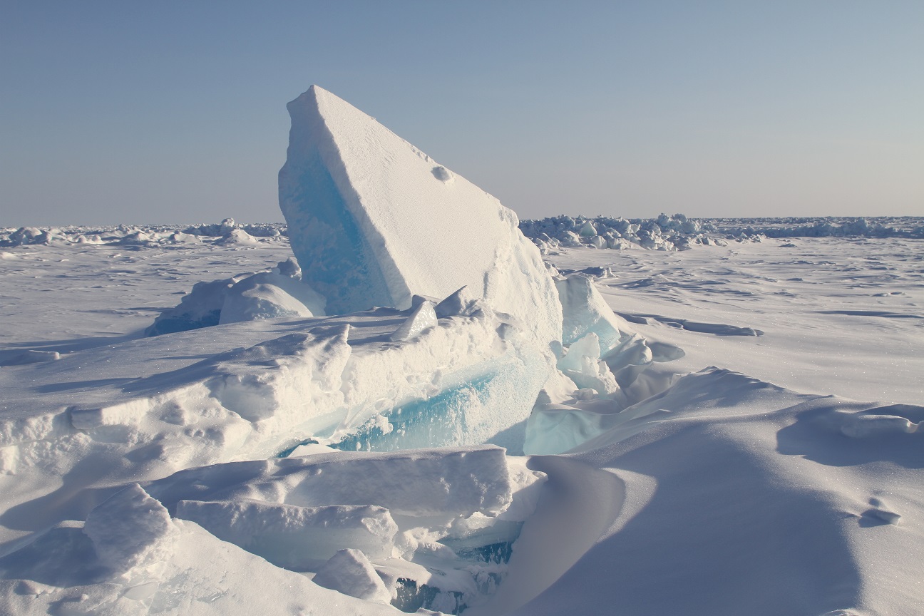 Overview of the of Arctic shipping role and ensuring of its environmental safety