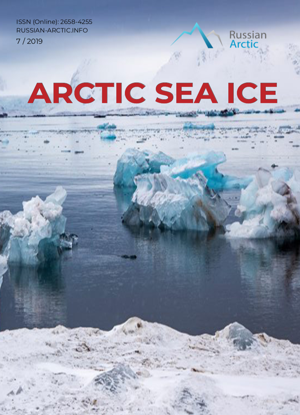 №7 Arctic sea ice
